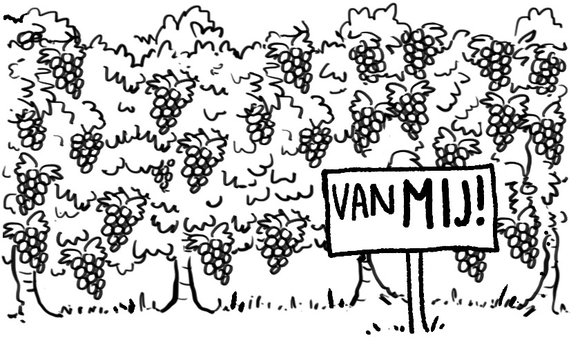 Zondag 4 okt 2026 – Matteüs 21:33-43